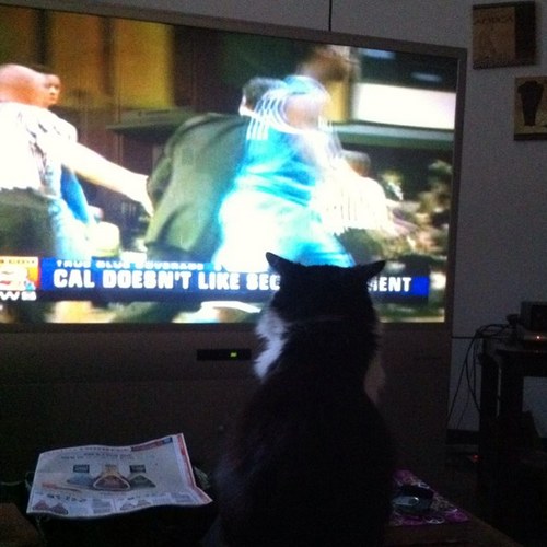 TaraLacole's profile picture. 