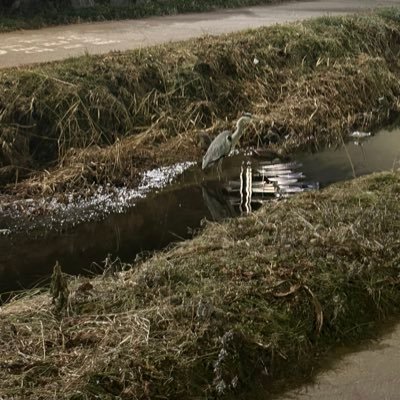 TV67108098's profile picture. 