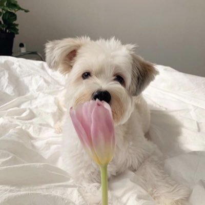 MRutty05's profile picture. 