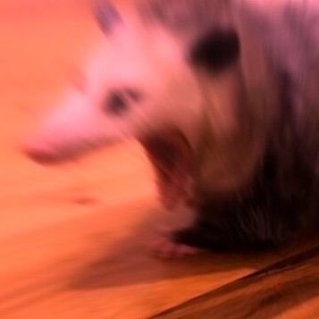 raspberry_jam6's profile picture. 18lvl