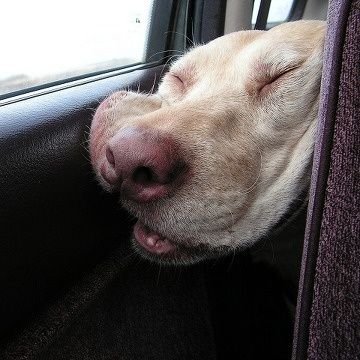 tksekdy3's profile picture. 거제..일딸?? 일탈??...뭐 아무튼...꿈꾼다.
민둥이 커닐 ㅂㅃ이 좋더라...
4n/175.85/기혼남/