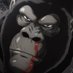 Gorilla Capital (🦍,🦍) (@gorillacapsol) Twitter profile photo Gorilla Capital (🦍,🦍) (@gorillacapsol) Twitter profile photo