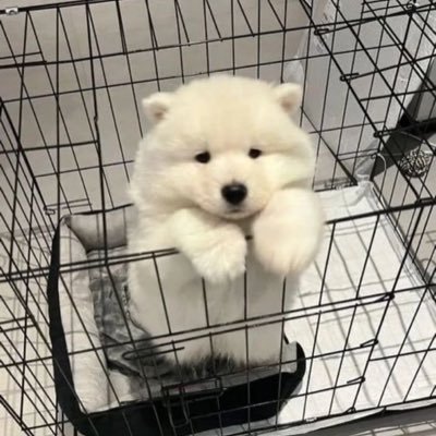 @bonsthy