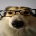 COMPRO LOLO (@comprololo) Twitter profile photo COMPRO LOLO (@comprololo) Twitter profile photo