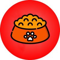 FEED (@xiaoli27118811) 's Twitter Profile