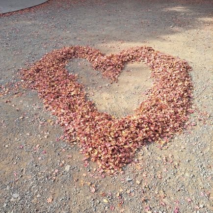 Ame09120629's profile picture. 