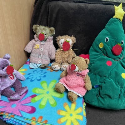 We are The Bears but not just bears we have a Moose & a NeNe. we love our campievan Bernie. instagram campievanbears.