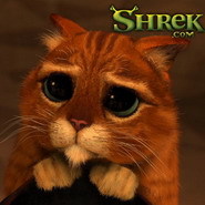 zlflive's profile picture. 