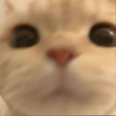 LongXiao69878's profile picture. 