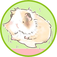 きぬごし (@aprzn8) 's Twitter Profile Photo きぬごし (@aprzn8) 's Twitter Profile Photo