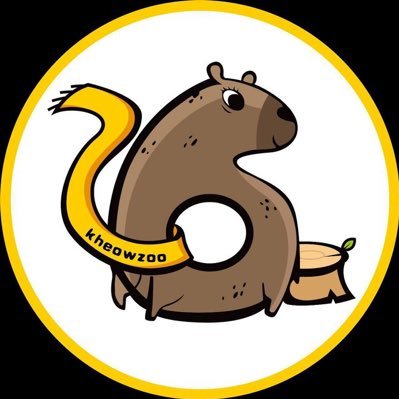 kzoo__CTO's profile picture. kheowzoo是全球首个华语社区推动的CTO龙头项目，致力于“给所有流浪动物提供一个家,给所有无家可归的meme holder提供一个家” #kheowzoo