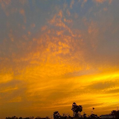 PrasunParimal's profile picture. 