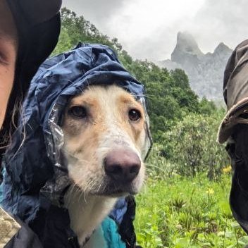 bejan1134070's profile picture. I'm a dog from Tbilisi, found on Zaldastani street. Living live in a web also