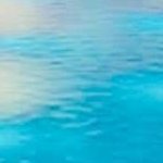 Dara (@dararagh) 's Twitter Profile