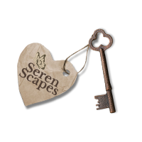 SS. (@serenscapes) 's Twitter Profile
