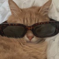 may (@__lmmay) Twitter profile photo