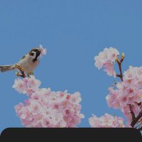 Brooklyn91 (@brooklyn9117) 's Twitter Profile