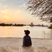 Modze (@modze84) 's Twitter Profile