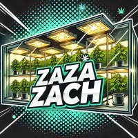 Zach (@zazazaech) 's Twitter Profile Photo Zach (@zazazaech) 's Twitter Profile Photo