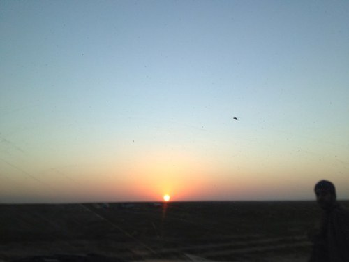 abdulallAT's profile picture. التفاؤل يمنحك النجاح .