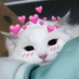 I just came for radiodust (@anyways_sha) Twitter profile photo I just came for radiodust (@anyways_sha) Twitter profile photo