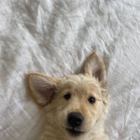 𝑡𝑎𝑠 ♡⟡⋆˙🦢 (@littlepeatyy) 's Twitter Profile Photo