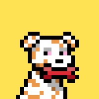 Dev (@develooperatx) 's Twitter Profile Photo