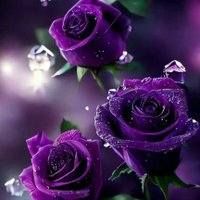 🪻SASSY💜 (@bigrissah) 's Twitter Profile Photo 🪻SASSY💜 (@bigrissah) 's Twitter Profile Photo