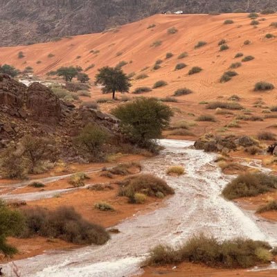 awad262626's profile picture. فاليوم كل عزيز بعدكم هان ..