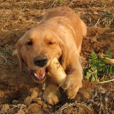 joseong22621235's profile picture. ( ✉️ DM ❌)