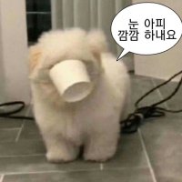 . (@pxoxexm) 's Twitter Profile