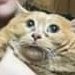 JPSky98's profile picture. 