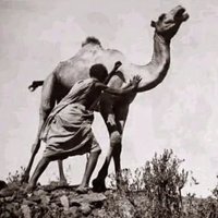 bnymn (@fihiilelilhadis) 's Twitter Profile Photo bnymn (@fihiilelilhadis) 's Twitter Profile Photo
