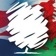 Welsh Young Conservatives (@welsh_yc) 's Twitter Profile