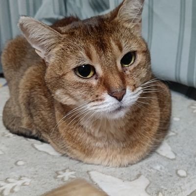 水夢さんのプロフィール画像