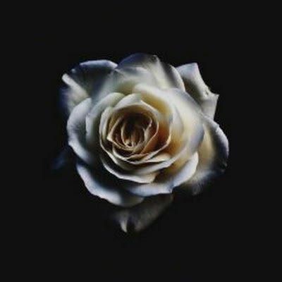 tuntun152734's profile picture. BTC  ETH  ICP investor / Pattern Investment