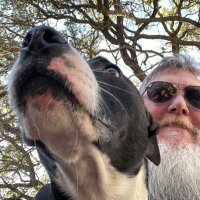 Mike Graves (@mikegraves69381) 's Twitter Profile