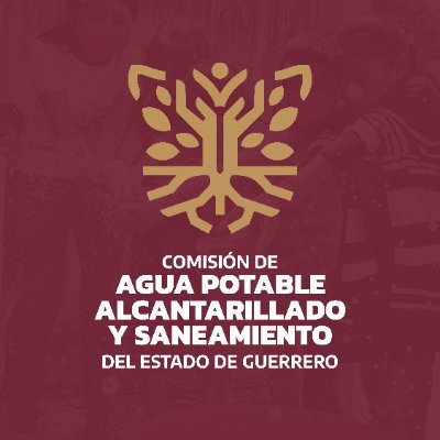 Fomenta el desarrollo de los Servicios de Agua, Alcantarillado y Saneamiento con sujeción al Art. 115 constitucional