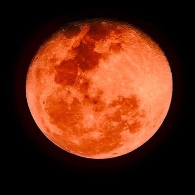 foobcoo's profile picture. プロ、セミプロみたいな人とは絶対会いたくありません それなら風俗行った方がマシ