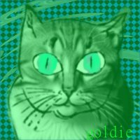 Q-tip (@q_tip_0rgazm) 's Twitter Profile