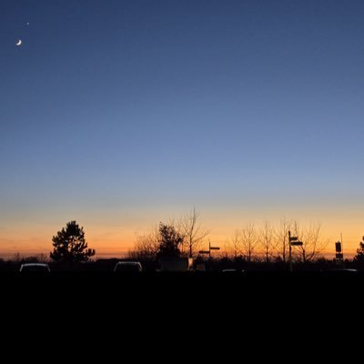 Hasan41210's profile picture. Wayfarer (original)