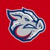 Lehigh Valley IronPigs (@ironpigs) Twitter profile photo Lehigh Valley IronPigs (@ironpigs) Twitter profile photo