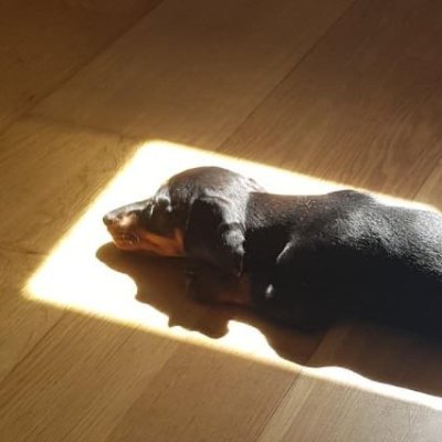 gh0sttap's profile picture. 