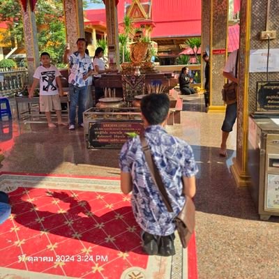 begitar11's profile picture. 