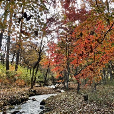 sasqmi729's profile picture. 写真家志望の学生
趣味はダンス、写真、ドール、散歩です
色んなFPS、TPSかじってます
クトゥルフ神話TRPGもやってます
どっちかというと猫派です

使用カメラ:Nikon digital camera D5500

discordID➤sqsqmi_729