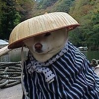 겡이 (@anuttuna_) 's Twitter Profile