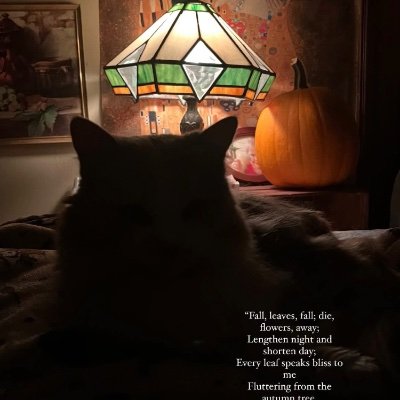 vivi11484087's profile picture. 