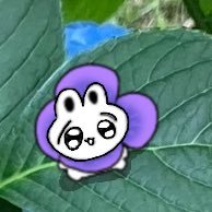 麥さんのプロフィール画像
