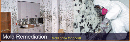 UACMoldRemoval's profile picture. UAC Mold Removal provides a 24 hour rapid response service to the insurance industry and private sector for fire and water damage restoration.