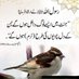 Inayat Pk Official (@inayatpk123) Twitter profile photo Inayat Pk Official (@inayatpk123) Twitter profile photo